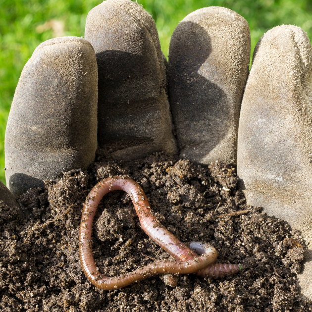 Nature's Original Fertilizer