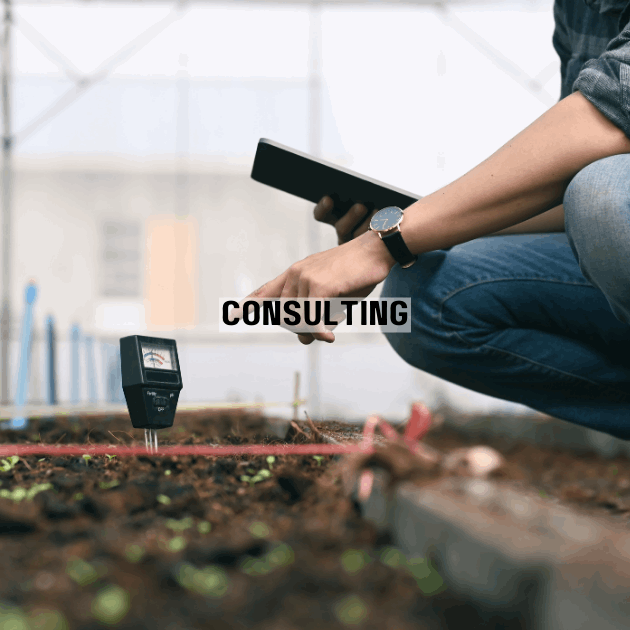 Soil Regeneration Consulting